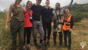 Huerta de vegetales, cultivo de aguacates🥑 y aceite