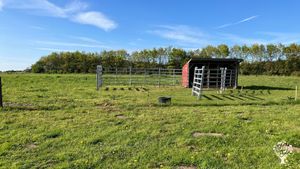 Organic vegetable farms