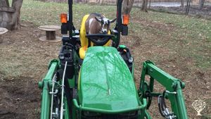 Babs drives the tractor!