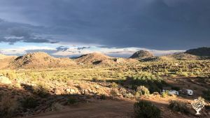 Pistachio farm near Kingman, AZ surround by beautiful scenery and accessible mountain hiking