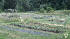 Intentional Community, egalitarian commune, & permaculture farm co-op