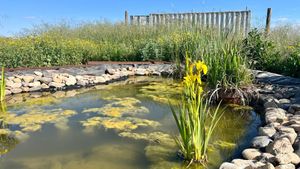 Finca de producción de hortalizas y verduras ecológicas para venta directa en mercados, cestas...