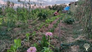 Azienda Agricola Contadina