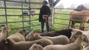 Family,Farm&Animals,Nature