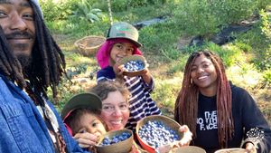 Beautiful organic family farm in the Sierra foothills near Grass Valley, California