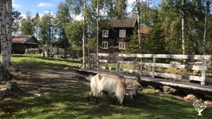 View of our house from the Laje