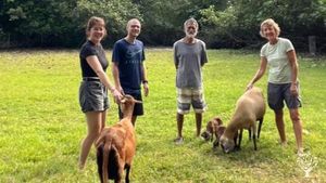 Jimmy and Lisa, hosts, with 2 wwoofers from Germany, and some ewes, taken January 2023