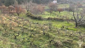 Social cooperative protecting the Selakano forest producing pure local products