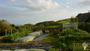 Our garden in late summer