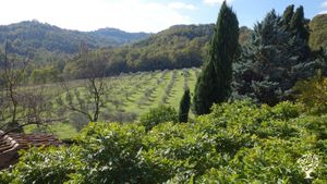 Destinazione Agrituristica