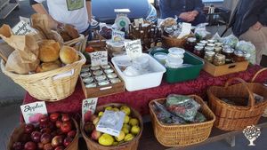 Market Garden Farm in Beautiful Haida Gwaii!