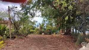 Entrando na Vivenda Harmonia