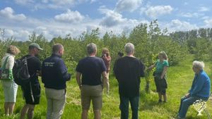 Small veganic, off-grid, forest farm in East Kent, UK
