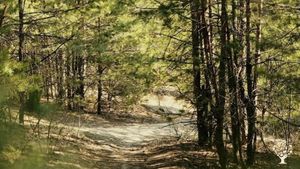 Wellness Retreat Center north of Kingston, Ontario