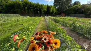 Full time diverse Christian farm operating three market gardens