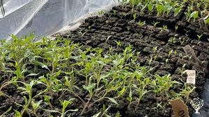 Organic farm, hotel and restaurant in Costa Vicentina