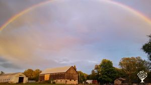Rainbow over Hidden Buddha Healing Center