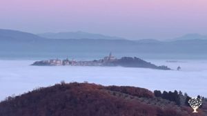 Organic independent winery: vineyard, cellar, tastings & lifestyle in Umbria, Italy