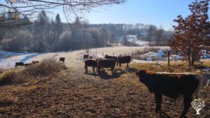 Mavrična kmetija/Rainbow farm