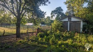 Gemüse- und Obst-Anbau zur Selbstversorgung