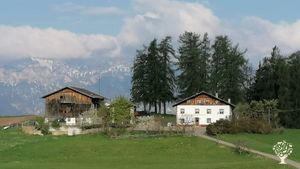 Organig Permaculture Farm