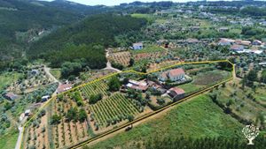 Our land plot and the house with buildings