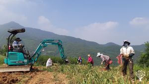 <CB109>숲과 사람을 만나다 / Meeting the Forest and People