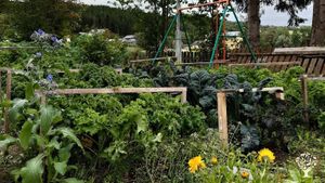 Cows, garden and forest by the mountains