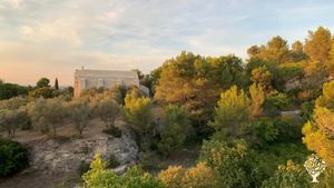 Maraîchage petite surface sur sol vivant - Au pieds des Alpilles