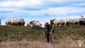 Biohof, Intentional Community, Livestock Farm, Family farm