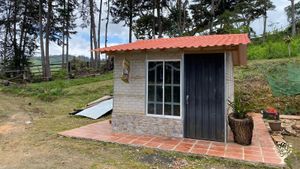 Recuperando Nuestras Raíces: Un Proyecto de Vida en el Valle de Tenza