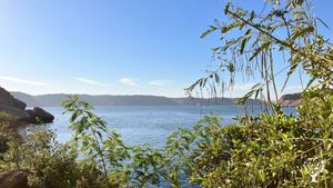 view form the beach on the fresh water of the Nile, you can swim here all year around!