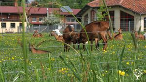 Agritourism Destination, Farm, Family farm