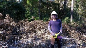 Processing Trees with a Chain Saw