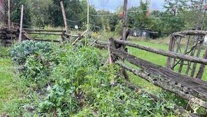 Family home and garden - rural