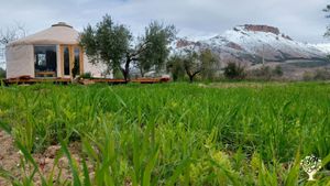 Finca