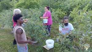 🌿 Organic Farm Retreat in the Heart of Tzoumerka Mountains