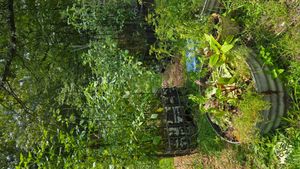 Self wicking garden bed with tomatoes, tomatillos, and peppers. Round bed with swiss chard and thyme