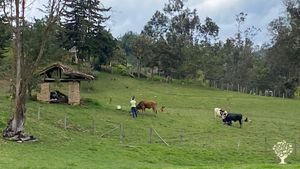 Recuperando Nuestras Raíces: Un Proyecto de Vida en el Valle de Tenza