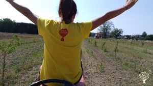 Azienda agricola biologica nel cuore delle Marche