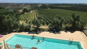 I nostri spazi aperti sono a disposizione degli ospiti per lunghe passeggiate, piscina e tennis.