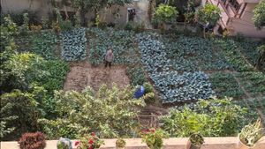 Host with a passion for farming