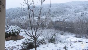 Proyecto artístico-ecológico. Somos una familia de 5 miembros. Compañía de teatro y huertas bio