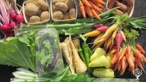 Educational area, Agritourism Destination, Market Garden, Farm, Family farm, Seed Saving, Herbalism