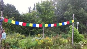 Peaceful retreat centre with gardens, greenhouses, and a welcoming community for nature lovers.