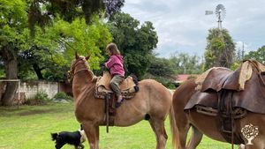 Farm organica, hacemos agro-turismo desde una pequeña empresa familiar.