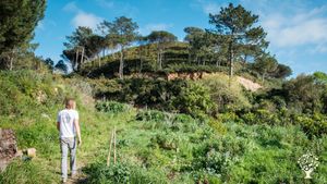 Quinta com produção regenerativa de cânhamo, frutas e legumes biológicos