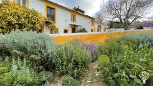 The dry garden in spring.