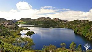 The lake 100m from the cabins. 