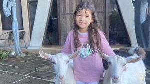 Permaculture, Ecotourism, Retreats & Community in the mountains of Grecia, Costa Rica